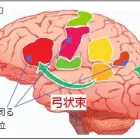 |コース案内